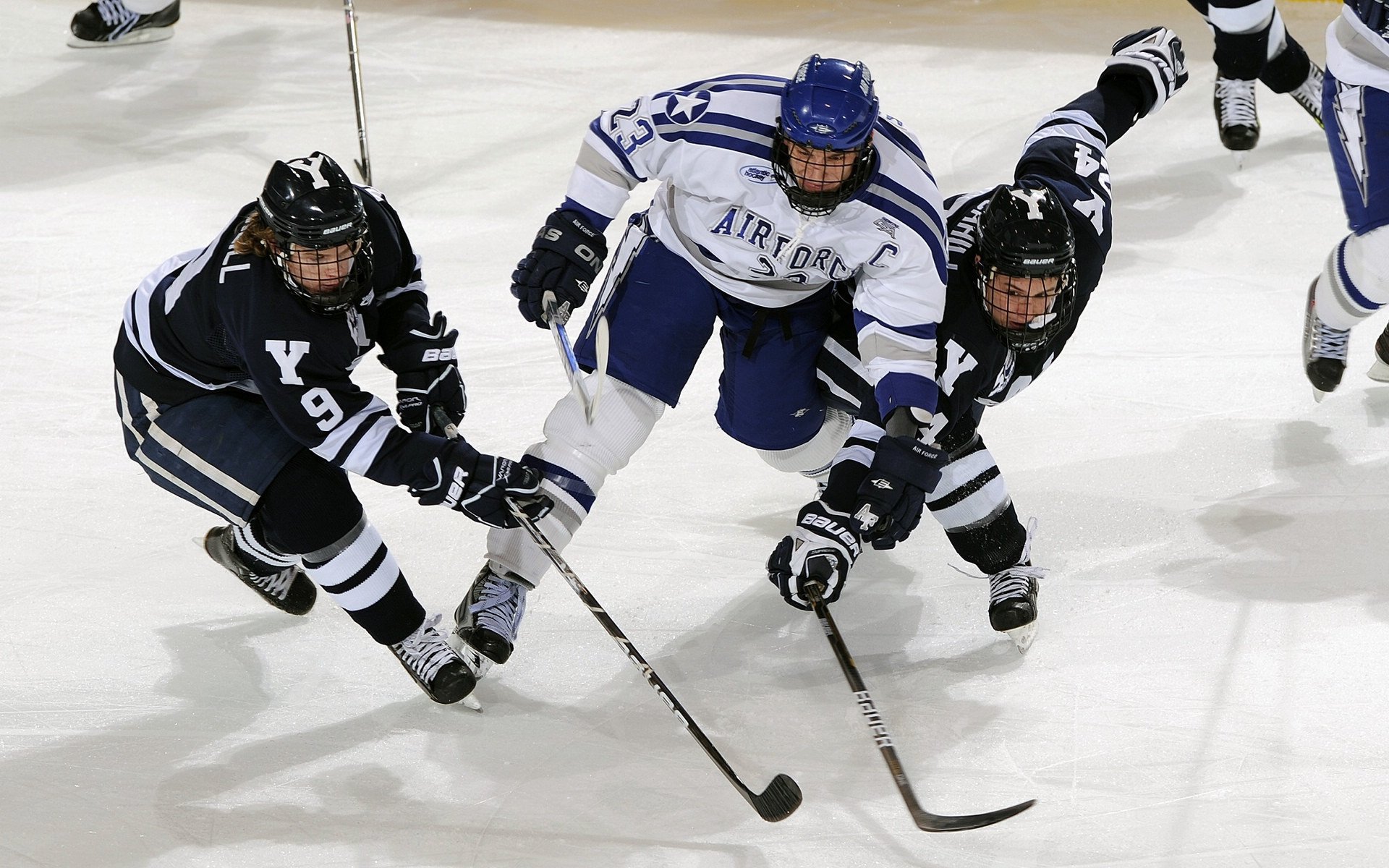 “马科斯·梅特罗的进攻火力和防守稳健,成就美洲狮队的全能之星”